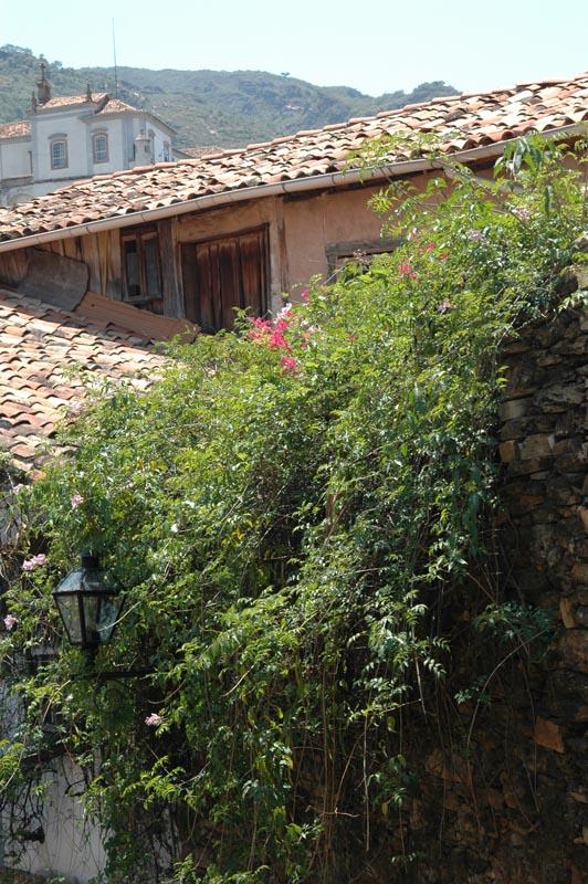 Ouro preto (52)