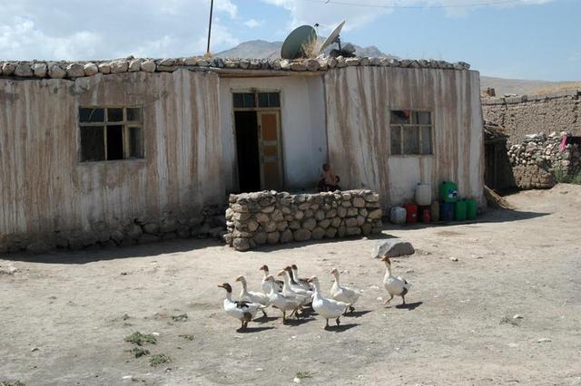 Wioska kurdyjska  (25)