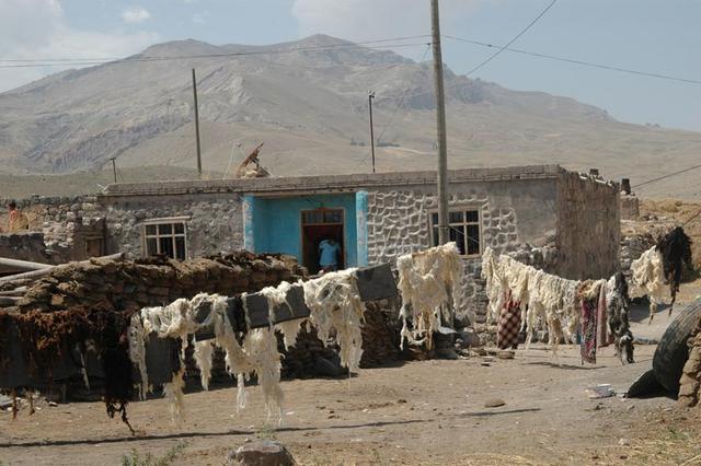 Wioska kurdyjska  (15)