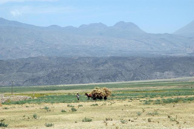 Wioska kurdyjska  (16)