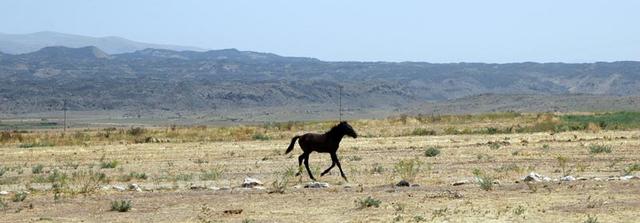 Wioska kurdyjska  (17)