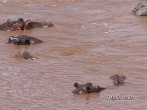 KENIA  2007  Rzeka Mara