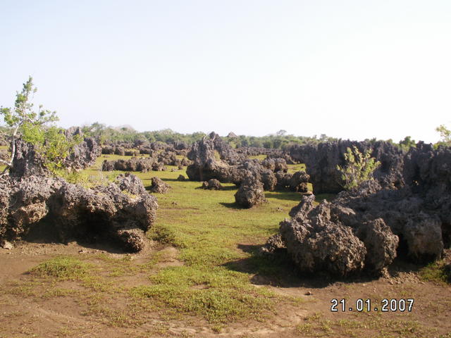 Kenia 2007  Ogród z  lawy.
