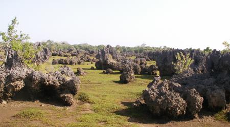Kenia 2007  Ogród z  lawy.