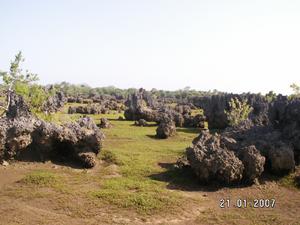 Kenia 2007  Ogród z  lawy.