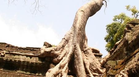 Siem Reap, kompleks Angkor, Kambodża