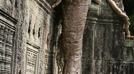 Siem Reap, kompleks Angkor, Kambodża