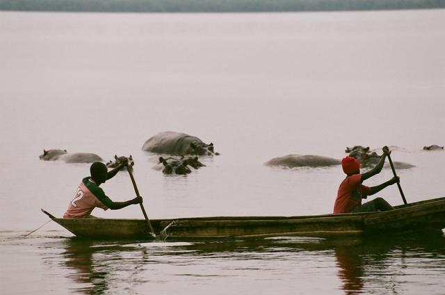 Park Queen Elizabeth