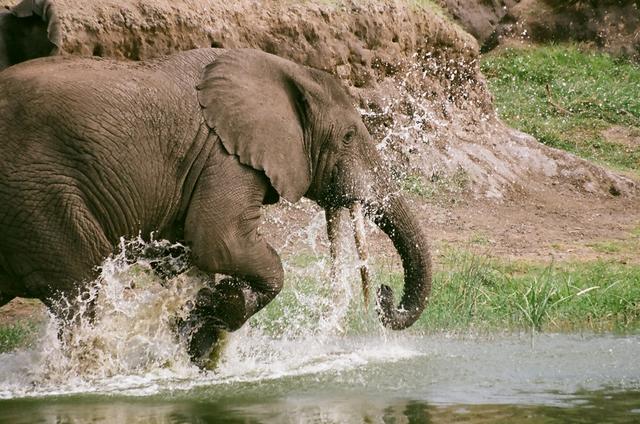 Park Queen Elizabeth