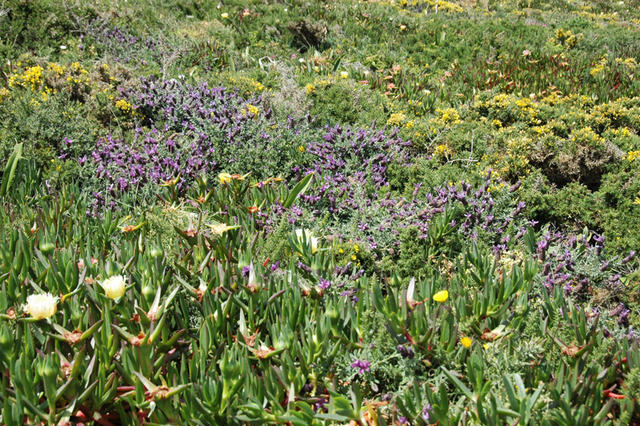 Dsc 7371 Cabo da Roca