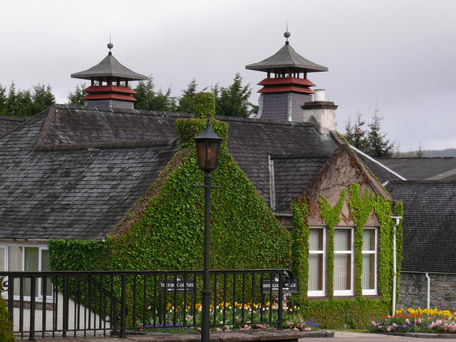 Glenfiddich06