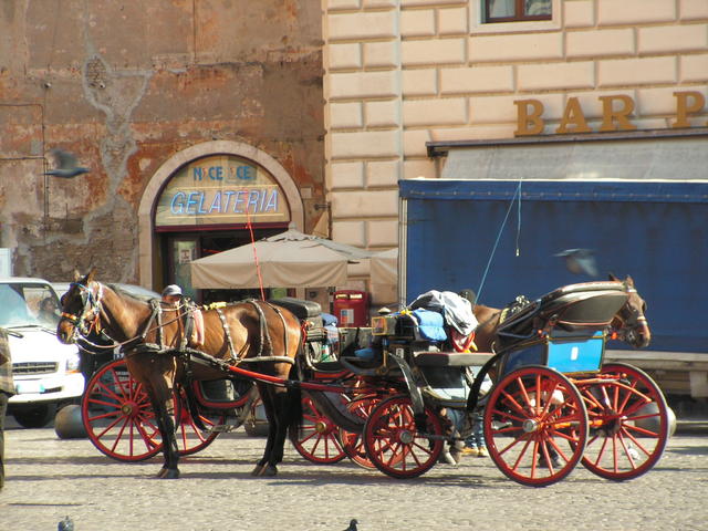RZYM