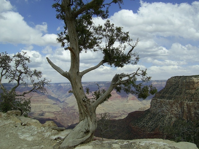Grand canion2
