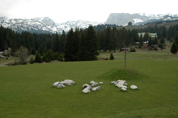 Zabljak  6 