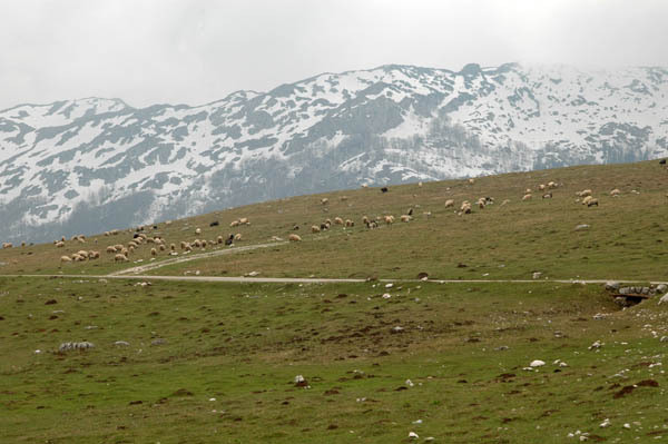 Park durmitor  27 