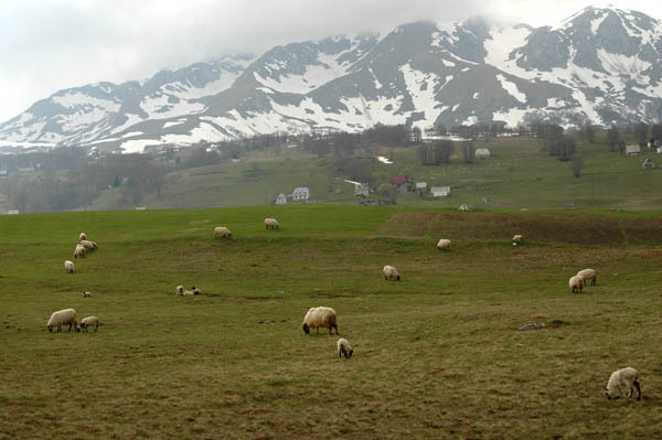 Park durmitor  37 
