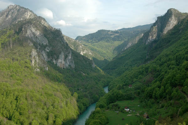 Przelom rzeki tara  5 