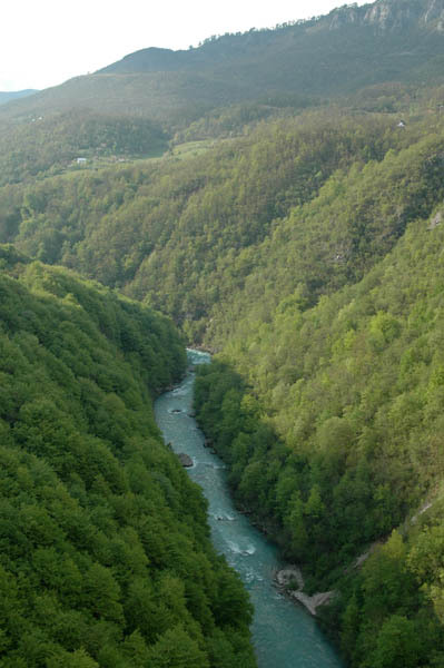 Przelom rzeki tara  10 