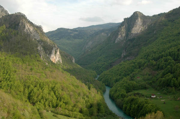 Przelom rzeki tara  15 