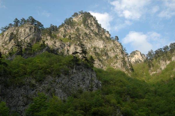 Przelom rzeki tara  24 