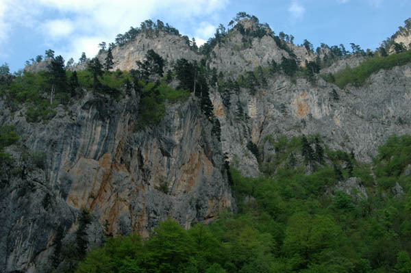 Przelom rzeki tara  27 