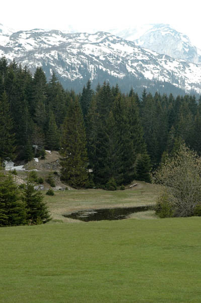 Zabljak