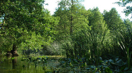 Dsc 2492 Spływ rzeczka Ełk – Polska