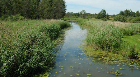 Dsc 2322 Spływ rzeczka Ełk – Polska