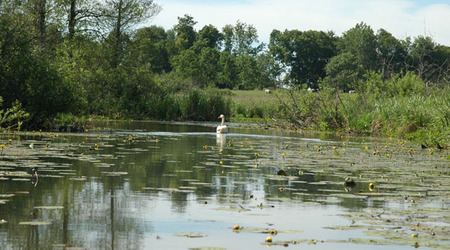 Dsc 2327 Spływ rzeczka Ełk – Polska