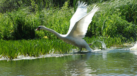 Dsc 2339 Spływ rzeczka Ełk – Polska