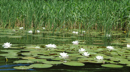 Dsc 2347 Spływ rzeczka Ełk – Polska