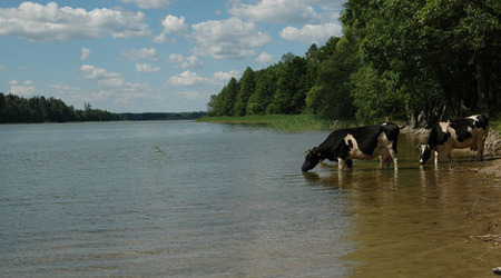 Dsc 2361 Spływ rzeczka Ełk – Polska