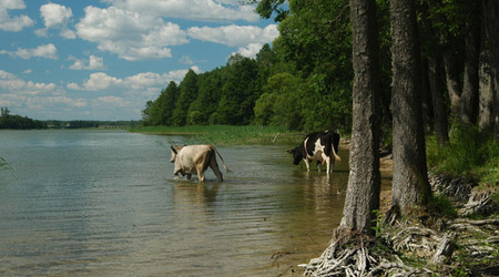 Dsc 2364 Spływ rzeczka Ełk – Polska
