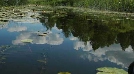 Dsc 2383 Spływ rzeczka Ełk – Polska