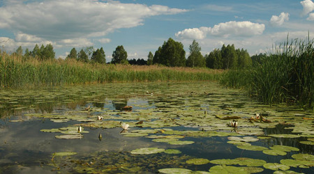 Dsc 2395 Spływ rzeczka Ełk – Polska