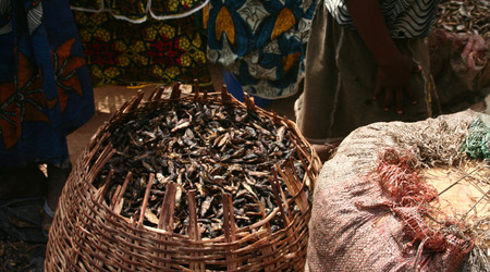 Suszone ryby – Djénné, Mali