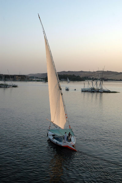 Dsc 4236