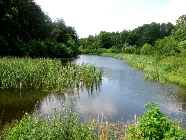 Mała Panew /Cynków/