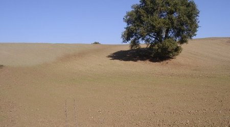 Toskania, okolice Sieny – Włochy
