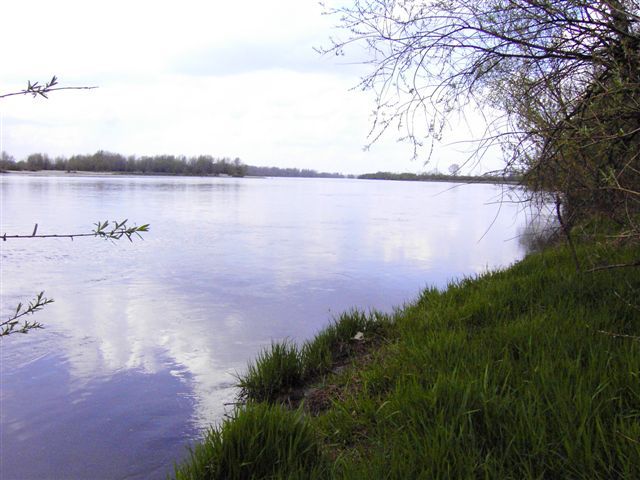 Piotrawin - widok Wisły.