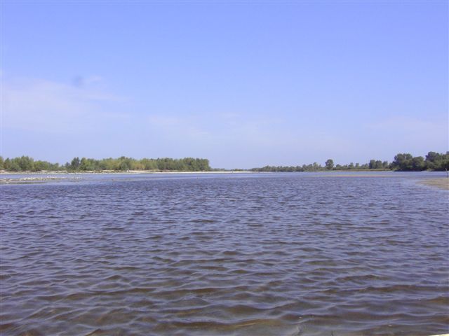 Piotrawin - widok Wisły.