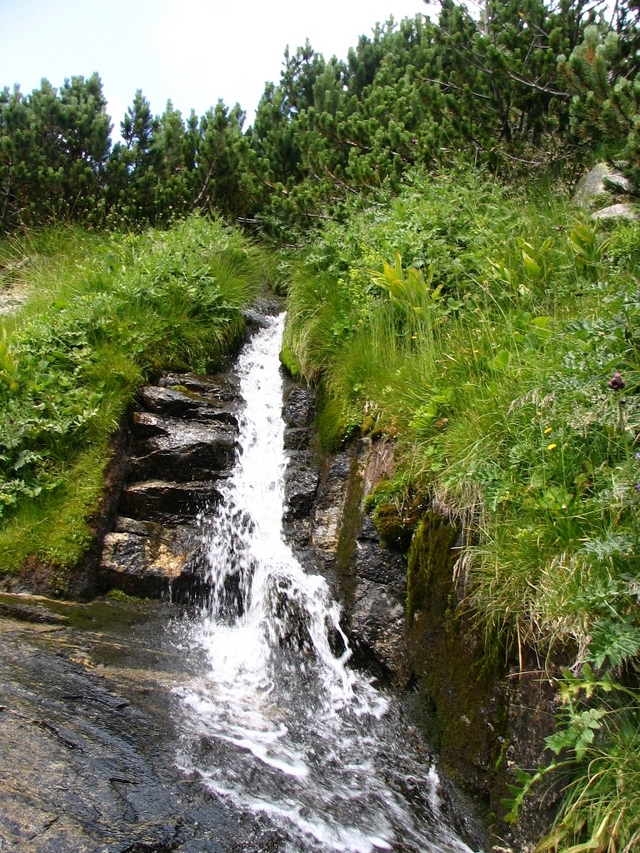 Grynchar  2 