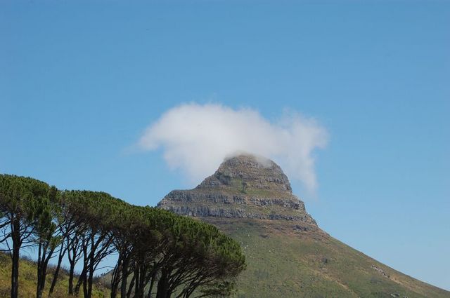 Lion's Head