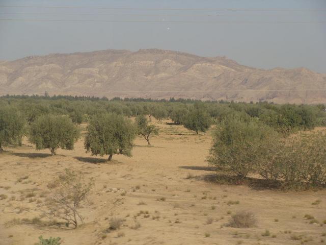 góry Atlas, Tunezja