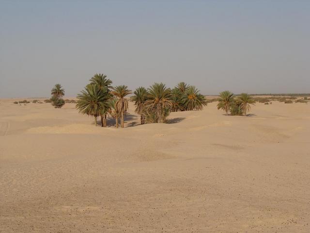 Brama Sahary, Douz, Tunezja