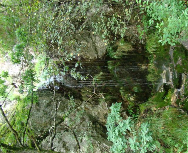 Dsc01226a