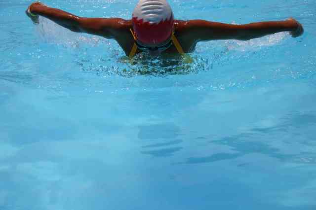 Jola-delfin