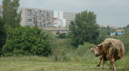 Kontrasty :) – Przemyśl, Polska