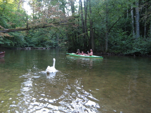 Mazury 01811