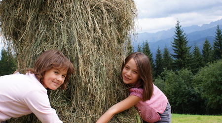 Dsc05635 – Zakopane, Polska